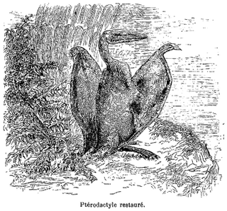 Illustration for article titled Strange 19th Century Drawings of Dinosaurs and Other Extinct Animals